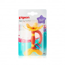 Pigeon training teether step 1 +4m
