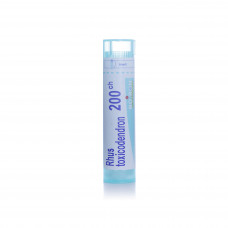 Boiron rhus toxicodendron 200ch