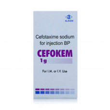 Cefokem 1G Im/Iv