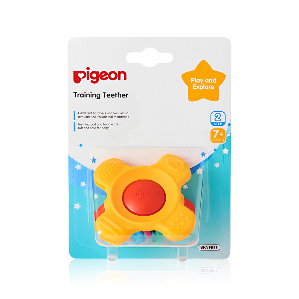 Pigeon training teether step 2 +7m